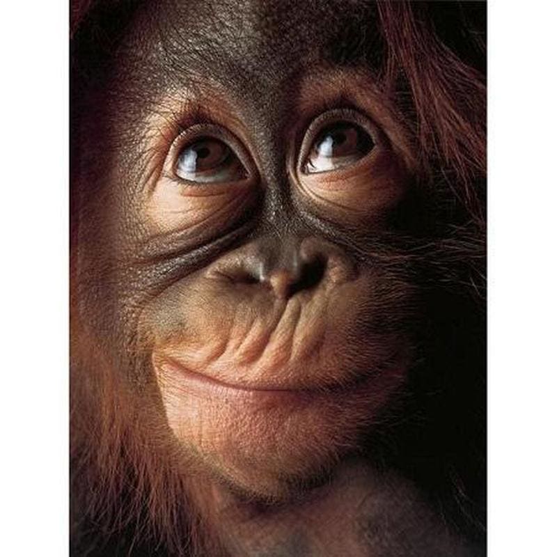 Aap | Diamond Painting