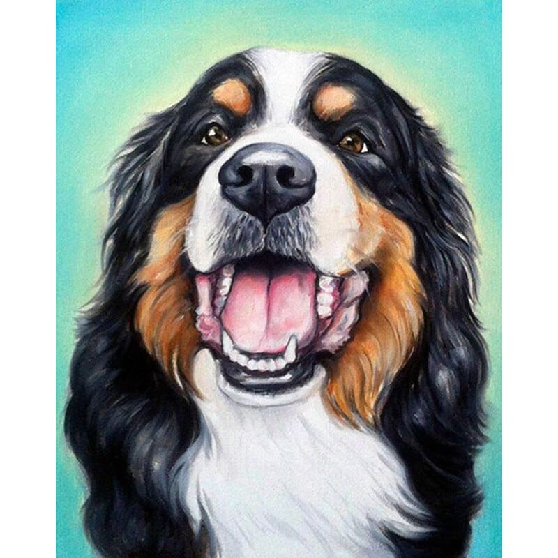 Berner Sennenhond | Diamond Painting