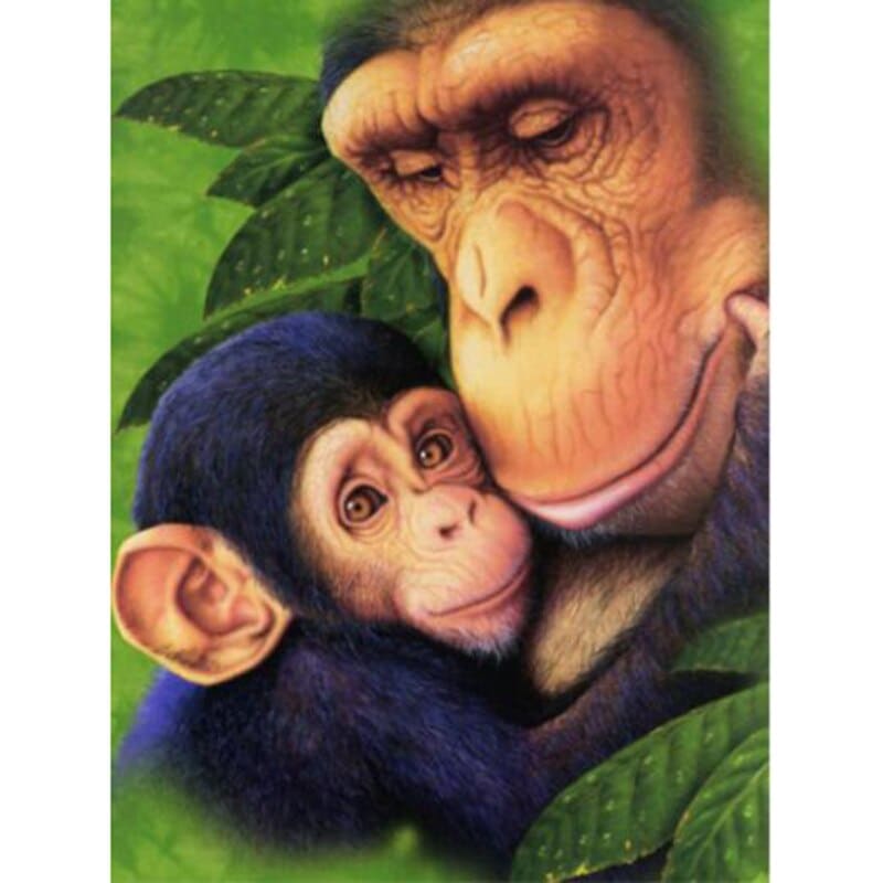 Chimpansee | Diamond Painting