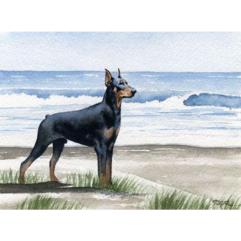 DIY diamant schilderij - Dobermann Pinscher strand PIX-623 -