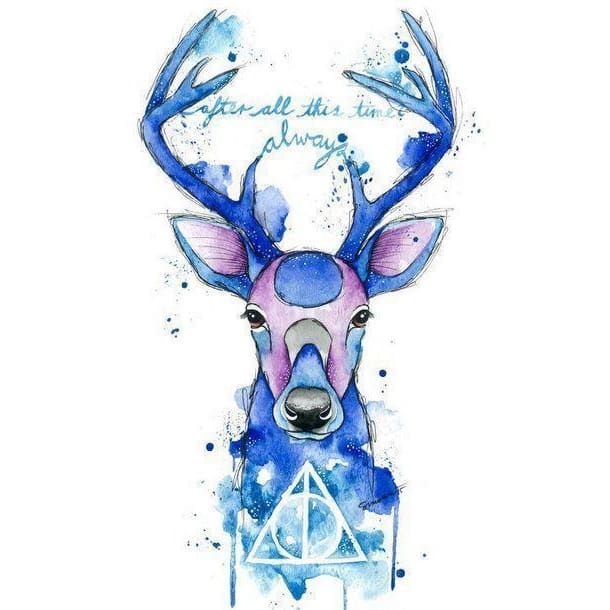 DIY diamant schilderij - Harry Potter PIX-1258 - Diamond