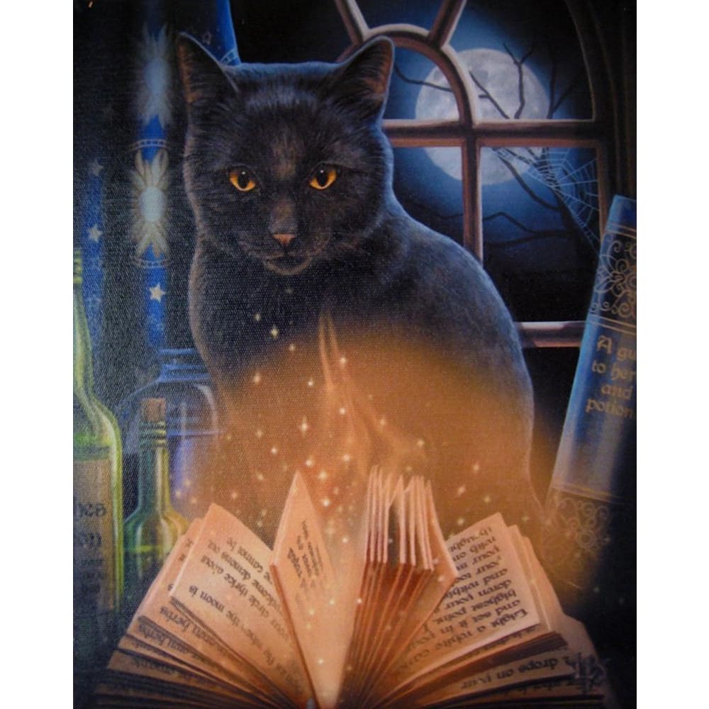 DIY diamant schilderij - kat PIX-1363 - Diamond Painting