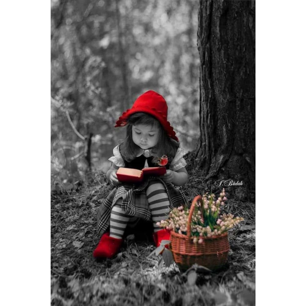 DIY diamant schilderij - Kinderen PIX-2742 - Diamond