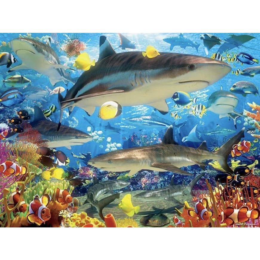 DIY diamant schilderij - Shark Fish PIX-1312 - Diamond