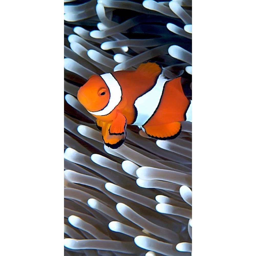DIY Diamond Painting - Dieren PIX-2300 - Diamond Painting