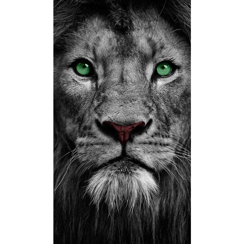 DIY Diamond Painting - Dieren PIX-2330 - Diamond Painting