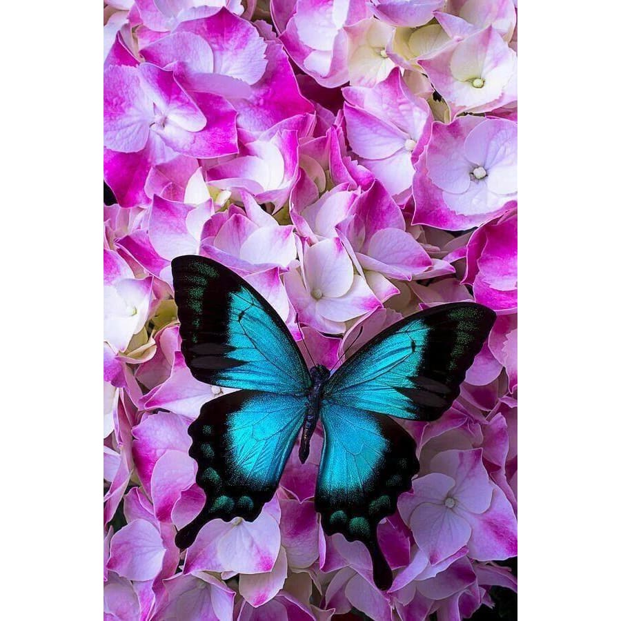 DIY Diamond Painting - Dieren PIX-2349 - Diamond Painting