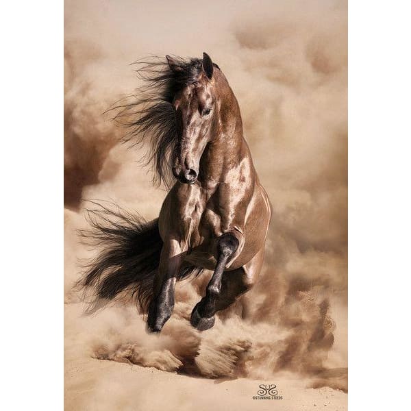 DIY Diamond Painting - Dieren PIX-2377 - Diamond Painting