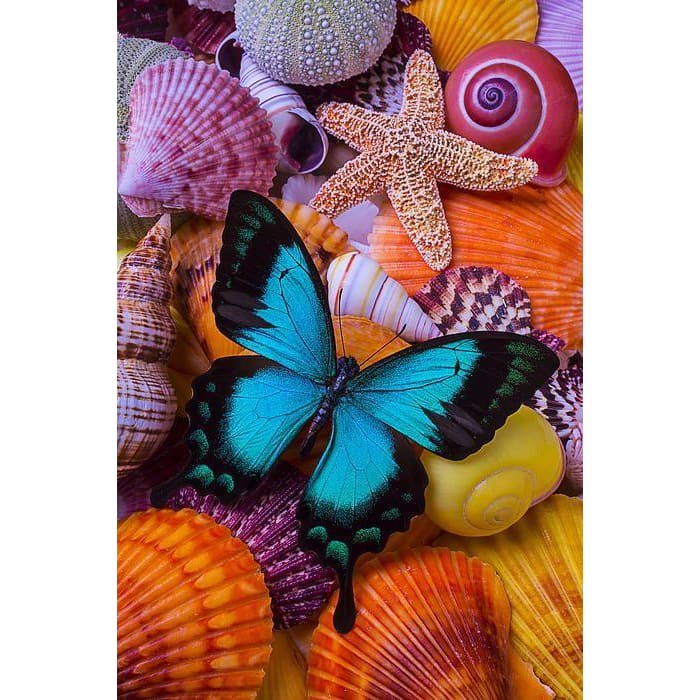 DIY Diamond Painting - Dieren PIX-2431 - Diamond Painting