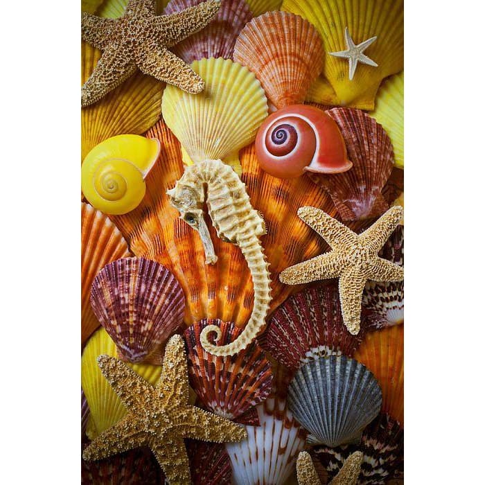 DIY Diamond Painting - Dieren PIX-2434 - Diamond Painting