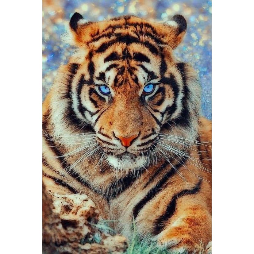 DIY Diamond Painting - Dieren PIX-2438 - Diamond Painting