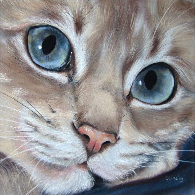 DIY Diamond Painting - Dieren PIX-2439 - Diamond Painting