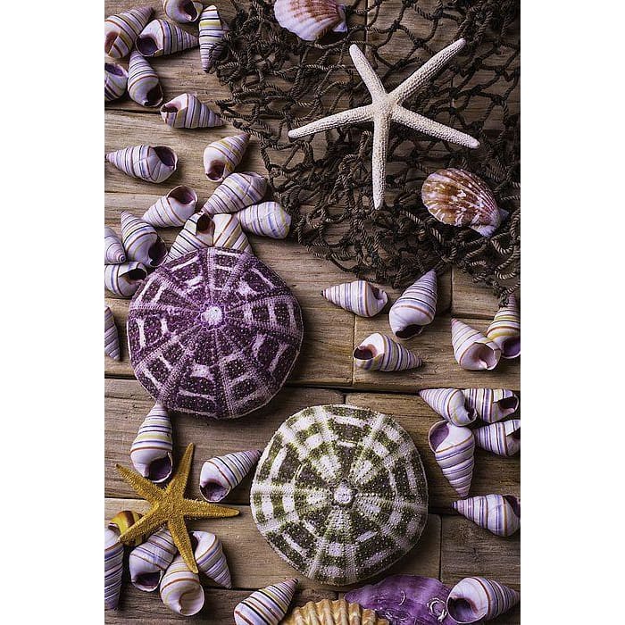 DIY Diamond Painting - Dieren PIX-2443 - Diamond Painting