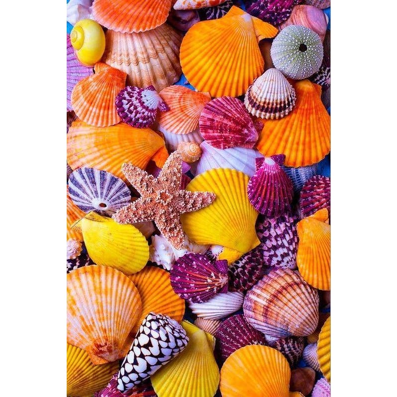 DIY Diamond Painting - Dieren PIX-2446 - Diamond Painting