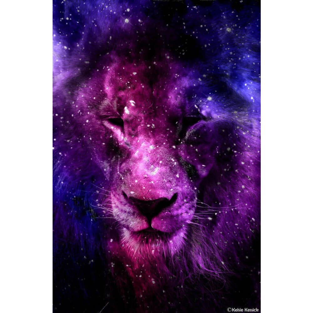 DIY Diamond Painting - Dieren PIX-2451 - Diamond Painting