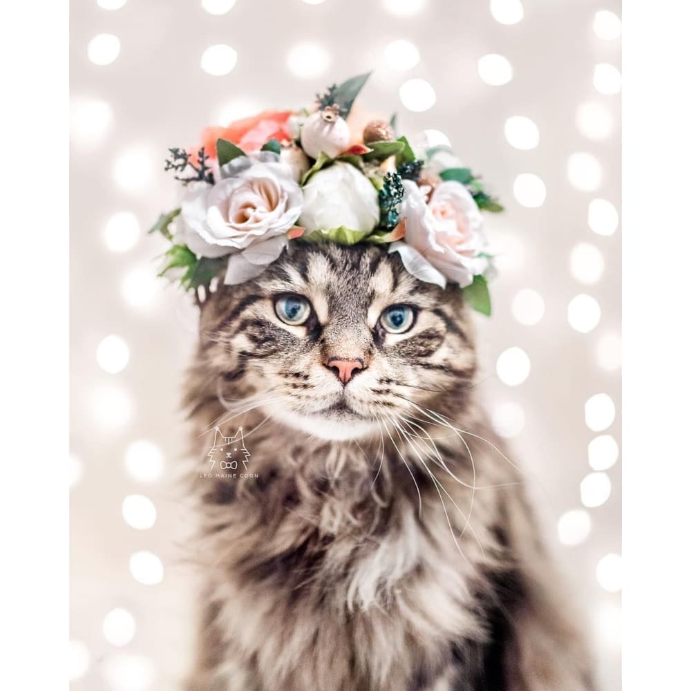 DIY Diamond Painting - Dieren PIX-2455 - Diamond Painting