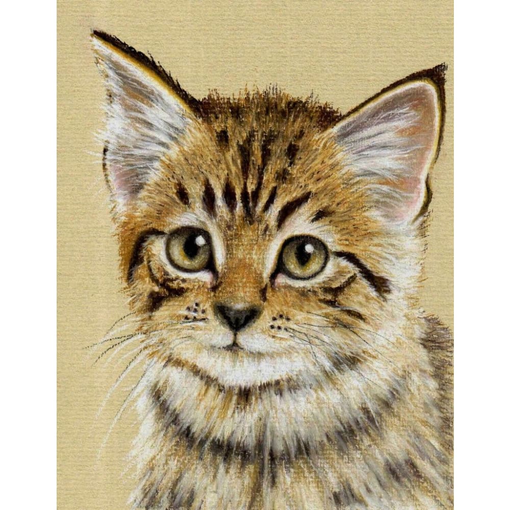 DIY Diamond Painting - Dieren PIX-2482 - Diamond Painting