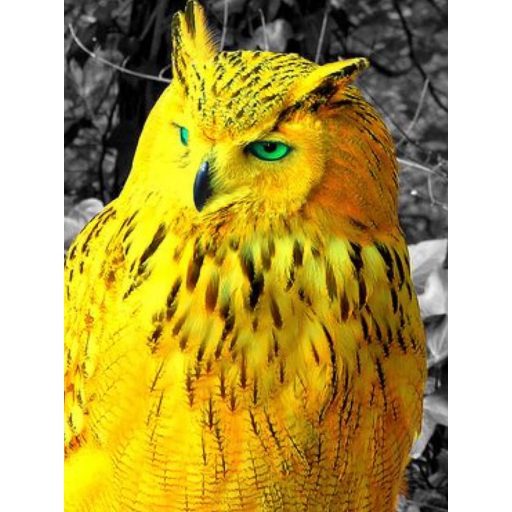 DIY Diamond Painting - Dieren PIX-2488 - Diamond Painting