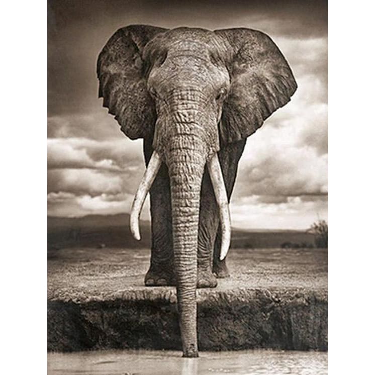 DIY Diamond Painting - Drinkende olifant PIX-190 - Diamond