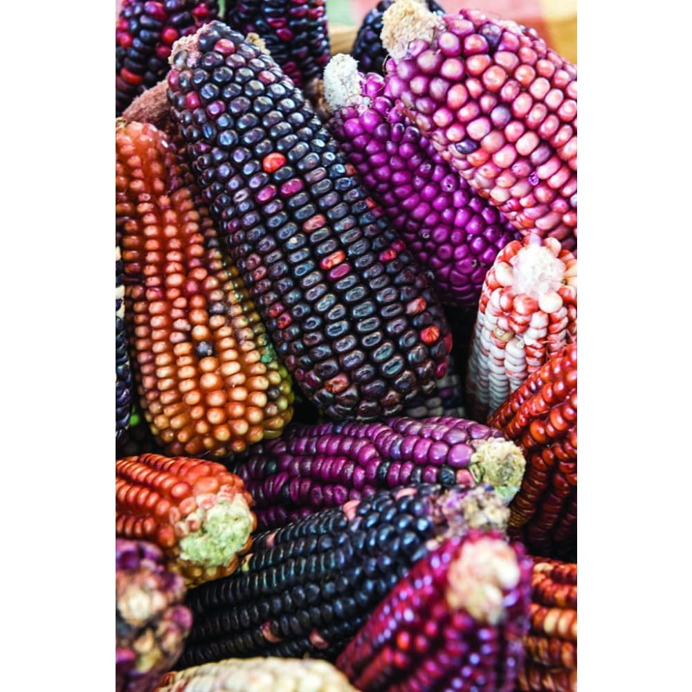 DIY Diamond Painting - Etnisch PIX-1414 - Diamond Painting