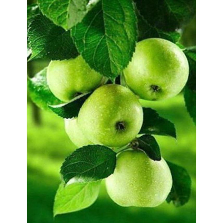 DIY Diamond Painting - Fruit Appels PIX-417 - Diamond