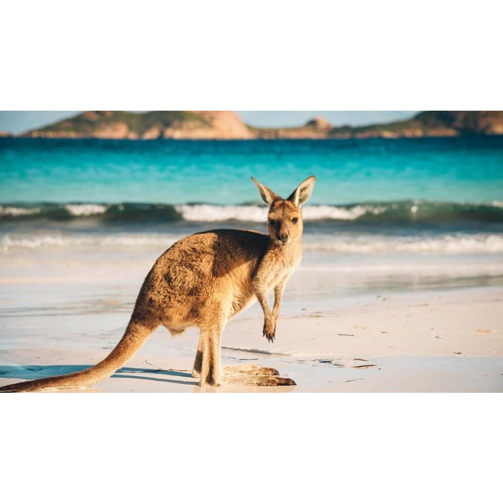 DIY Diamond Painting - Kangaroo Island PIX-560 - Diamond