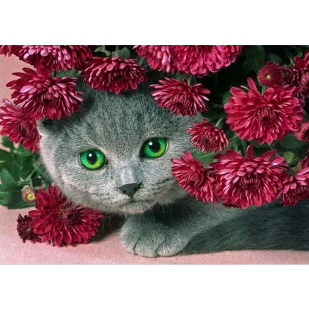 DIY Diamond Painting - Kat PIX-1336 - Diamond Painting