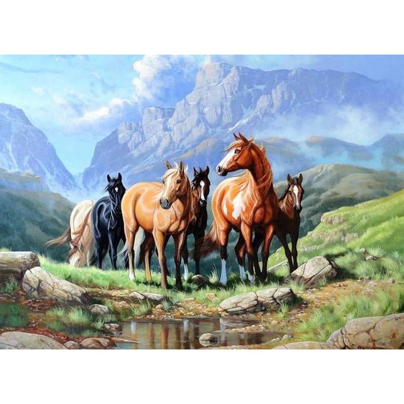DIY Diamond Painting - Paard op het gras PIX-100 - Diamond