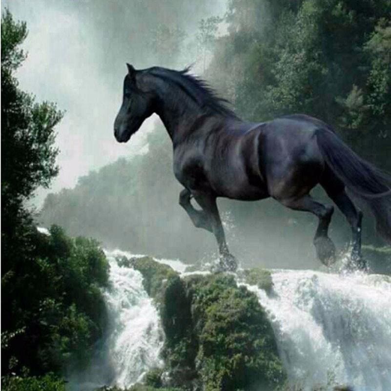 DIY Diamond Painting - Paardenwaterval PIX-259 - Diamond
