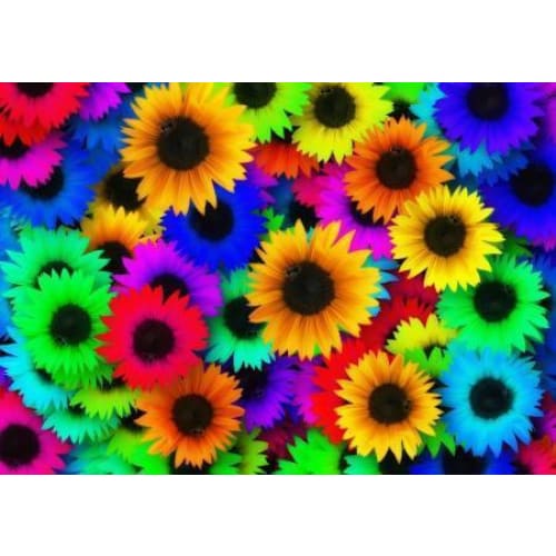 DIY Diamond Painting - Regenboogbloemen PIX-762 - Diamond