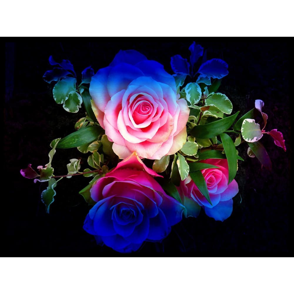DIY Diamond Painting - Regenboogbloemen PIX-767 - Diamond