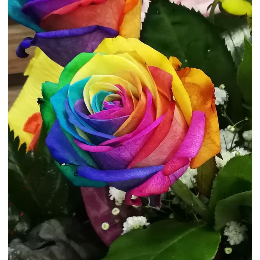 DIY Diamond Painting - Regenboogbloemen PIX-772 - Diamond