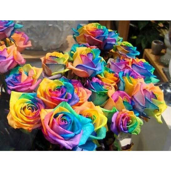 DIY Diamond Painting - Regenboogbloemen PIX-774 - Diamond