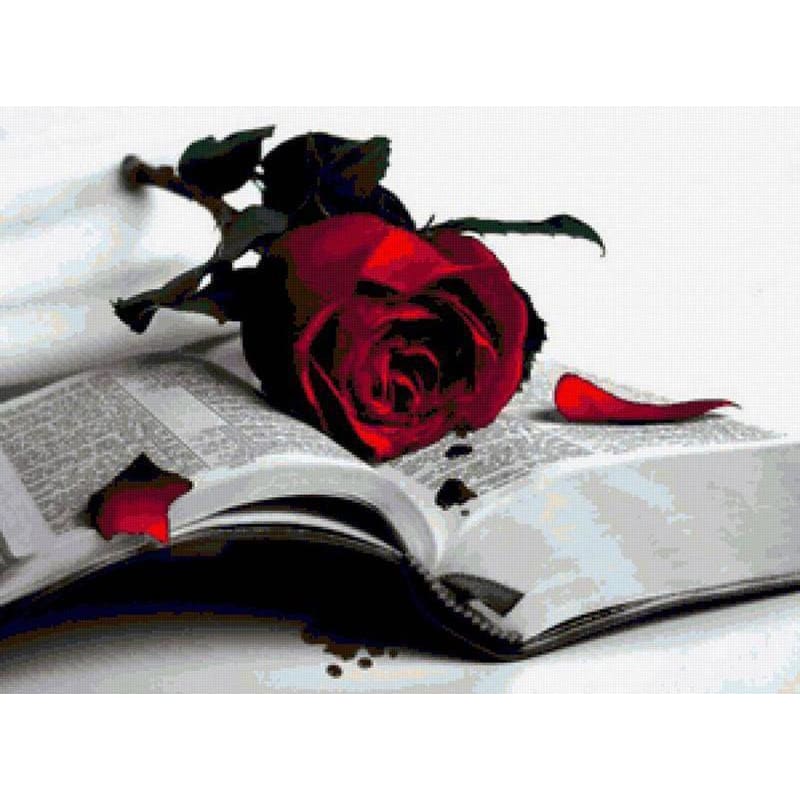 DIY Diamond Painting - Rozen en boeken PIX-113 - Diamond