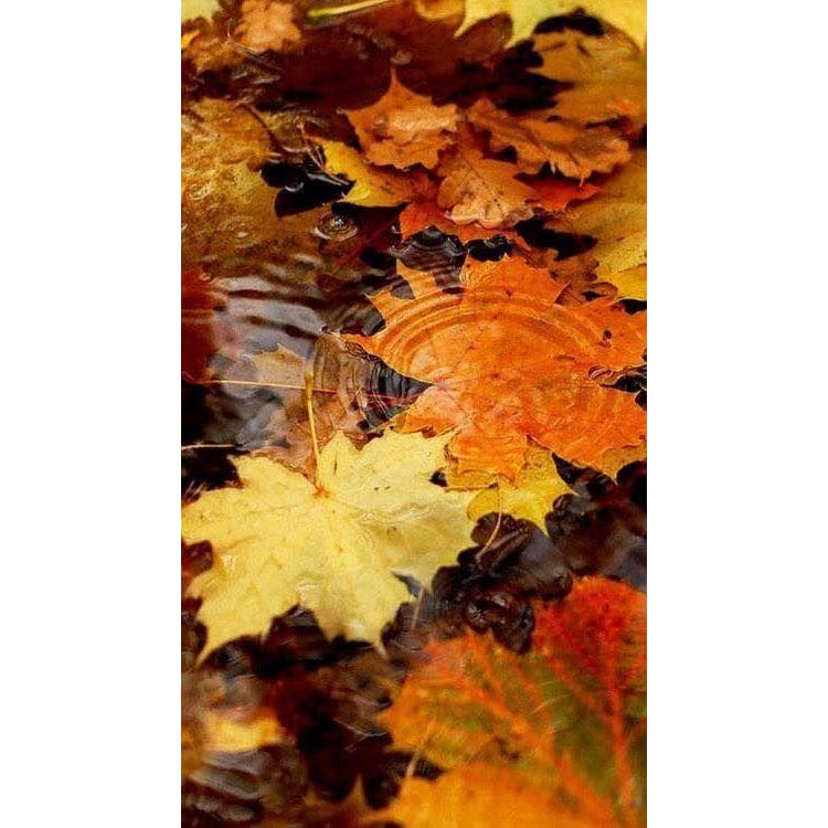 DIY Diamond Painting - Thanksgiving Day & Halloween PIX-3385