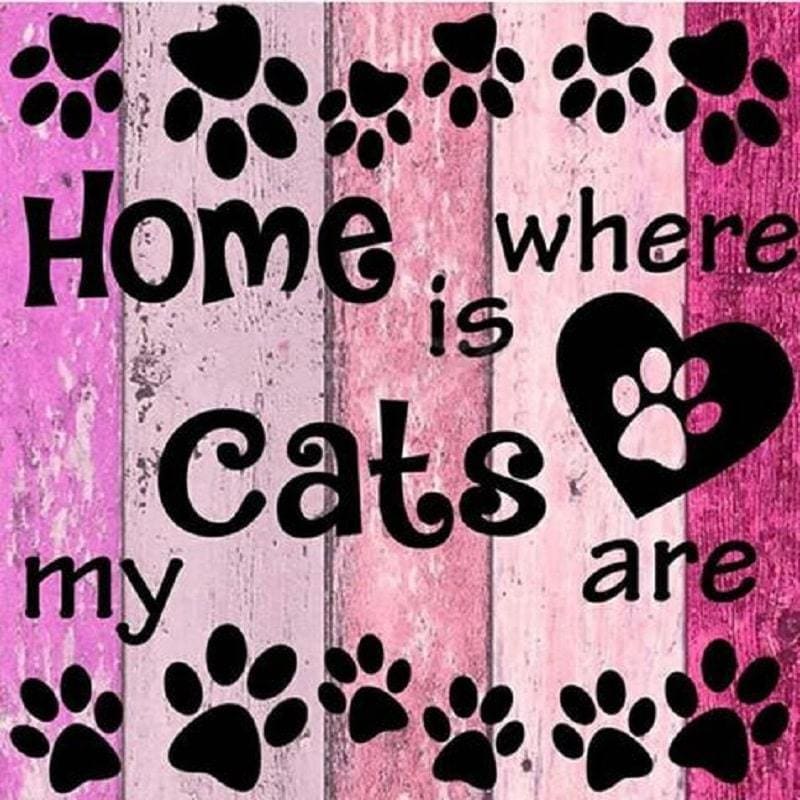 Home is where the cats are - 40x40cm (Minimaal formaat
