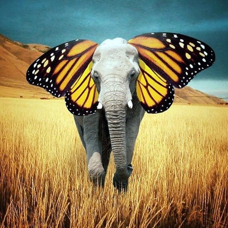 Olifant | Diamond Painting