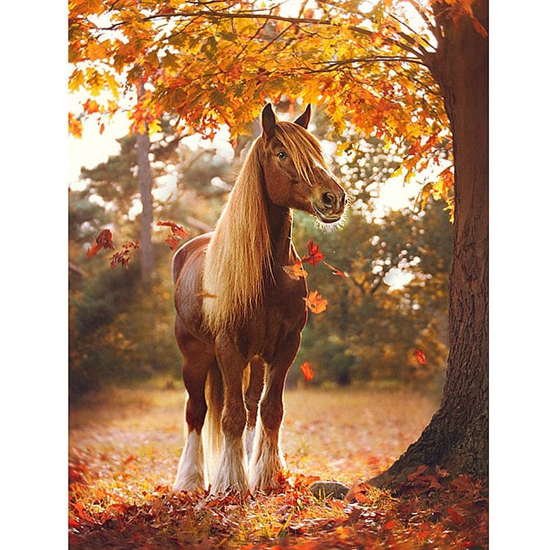 Paard | Diamond Painting