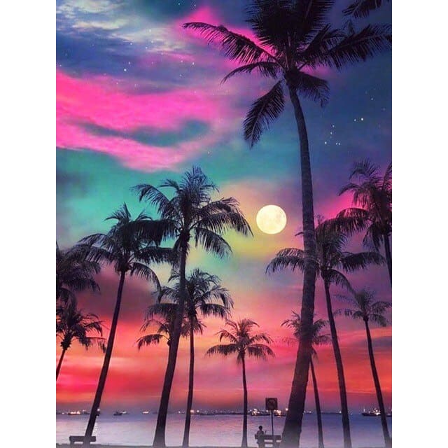 Palmbomen - Zonsondergang