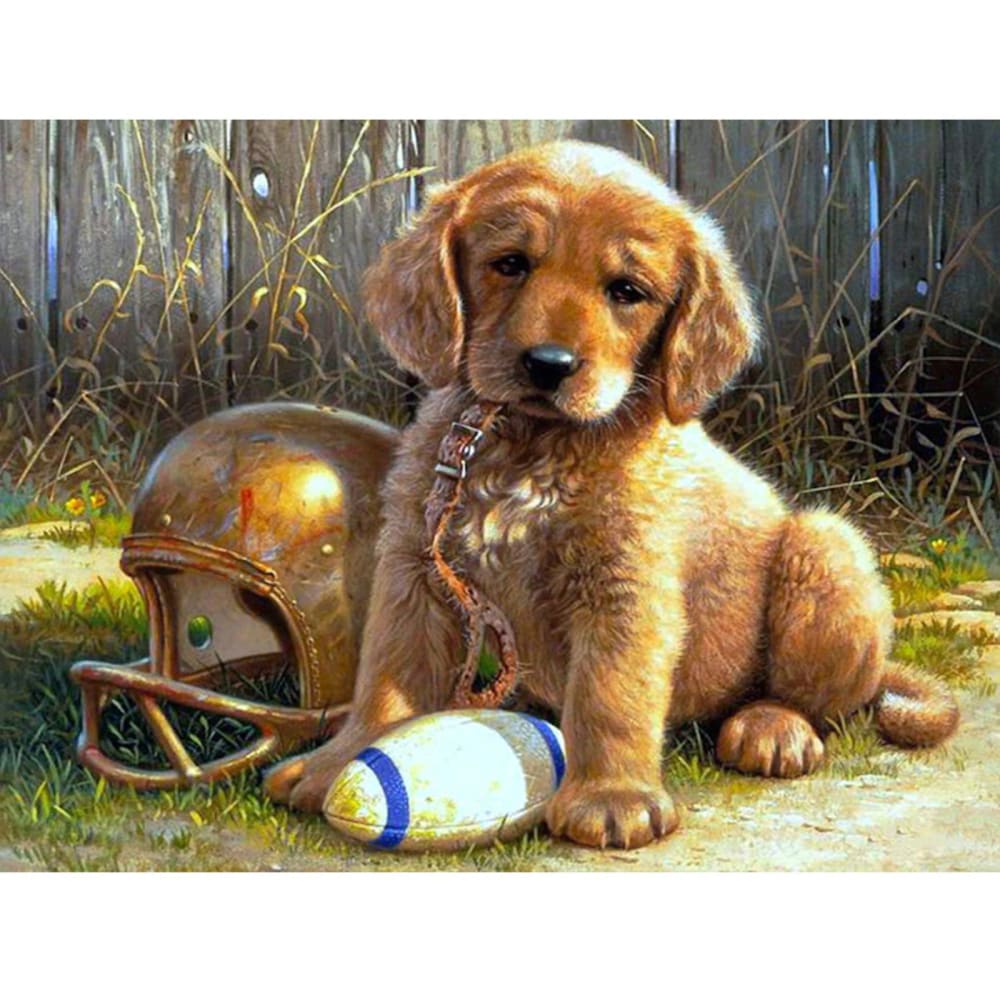 Rugby Puppy