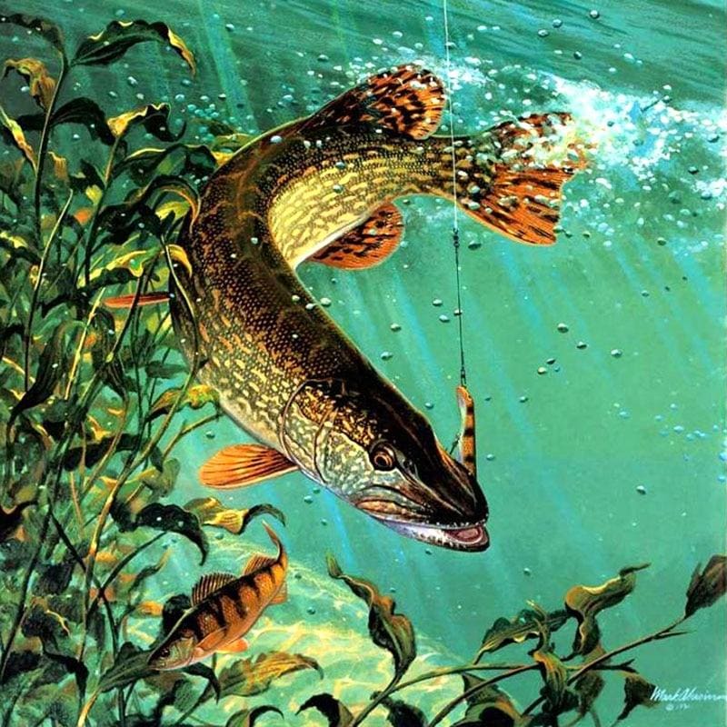 Snoek | Diamond Painting