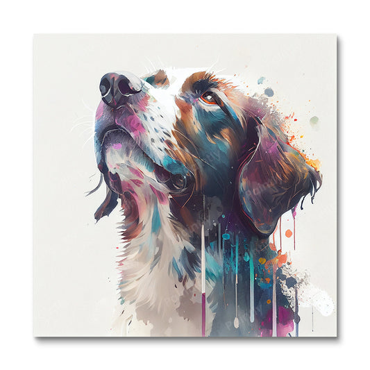 Verf Splash Dog I van Avery (diamond painting)