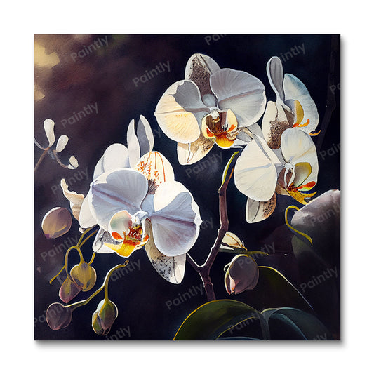 Witte orchideeën (diamond painting)