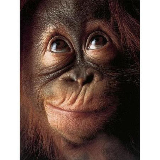 Aap | Diamond Painting