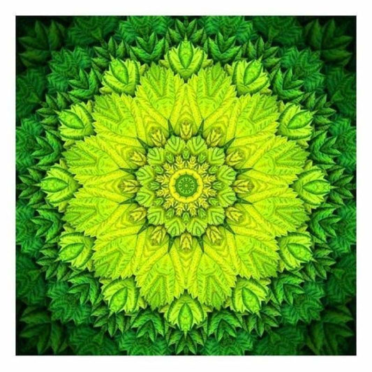 Abstracten groene mandala