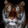 Full Vorm steentjes - 5D DIY Diamond Painting Animal Tiger Embroidery  Art - NEEDLEWORK KITS