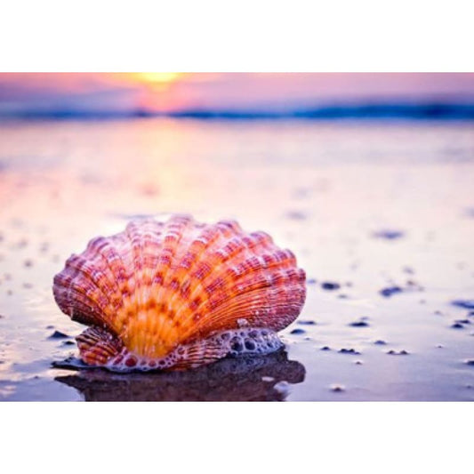 Beach Collection 11 - Volledig te bewerken Diamanten 