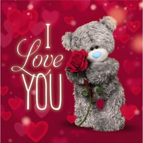 Beertje | Morgen In Huis