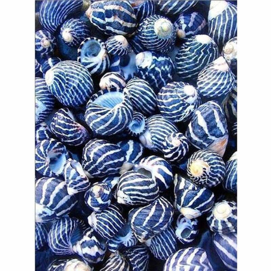 Blauwe patroon schelpen - 4