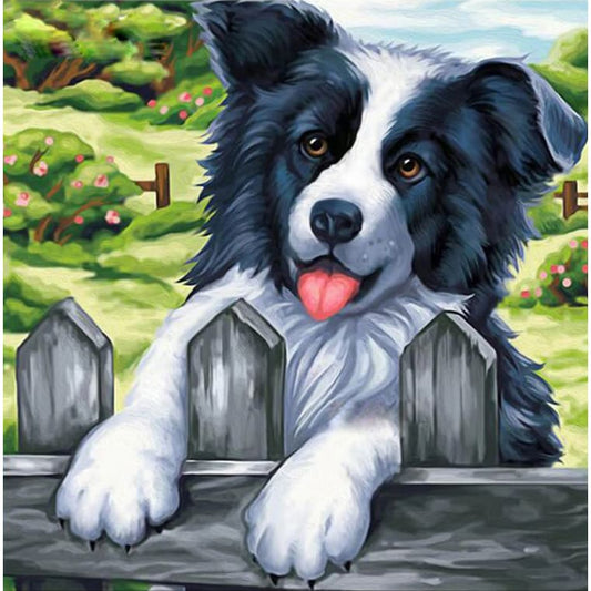Bordercollie | Diamond Painting